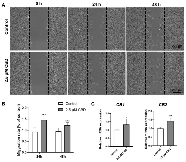 PMC9856031 – biomolecules-13-00118-f004