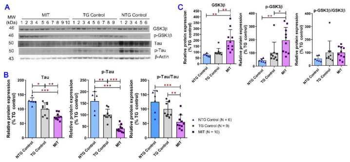 PMC9953380 – biomolecules-13-00232-f003
