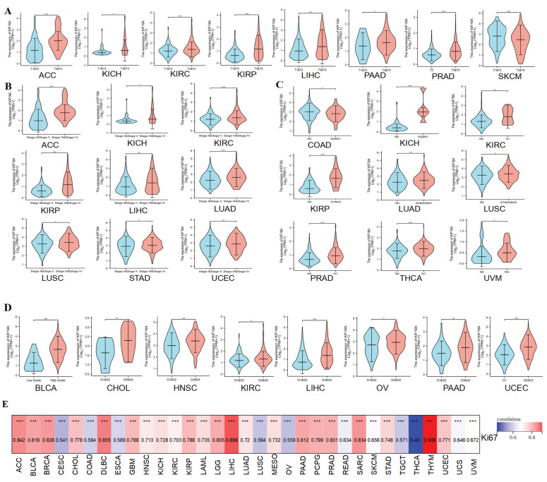 PMC9953516 – biomolecules-13-00326-f002