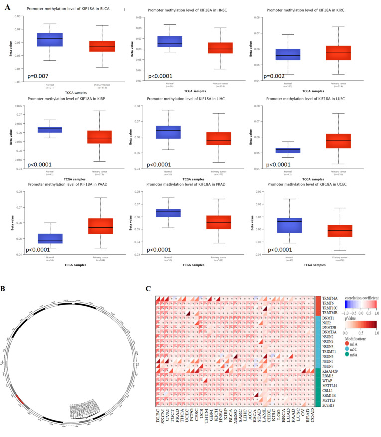 PMC9953516 – biomolecules-13-00326-f008