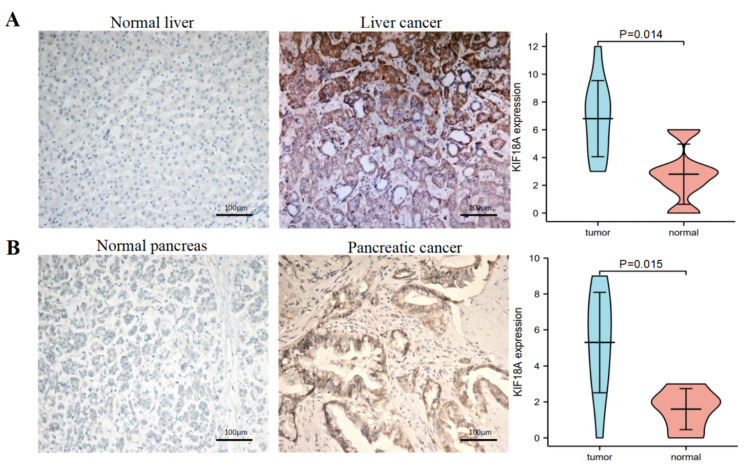 PMC9953516 – biomolecules-13-00326-f012