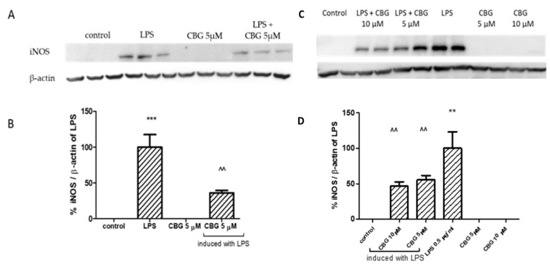 PMC9953076 – biomolecules-13-00376-f004