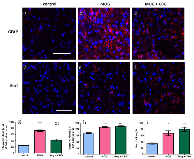 PMC9953076 – biomolecules-13-00376-f006