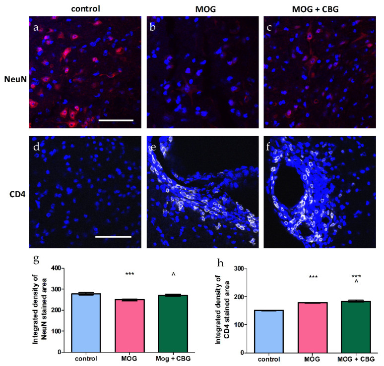 PMC9953076 – biomolecules-13-00376-f007
