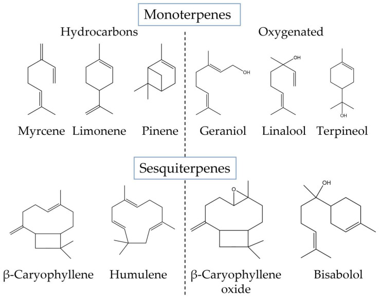 PMC10216468 – biomolecules-13-00764-f003