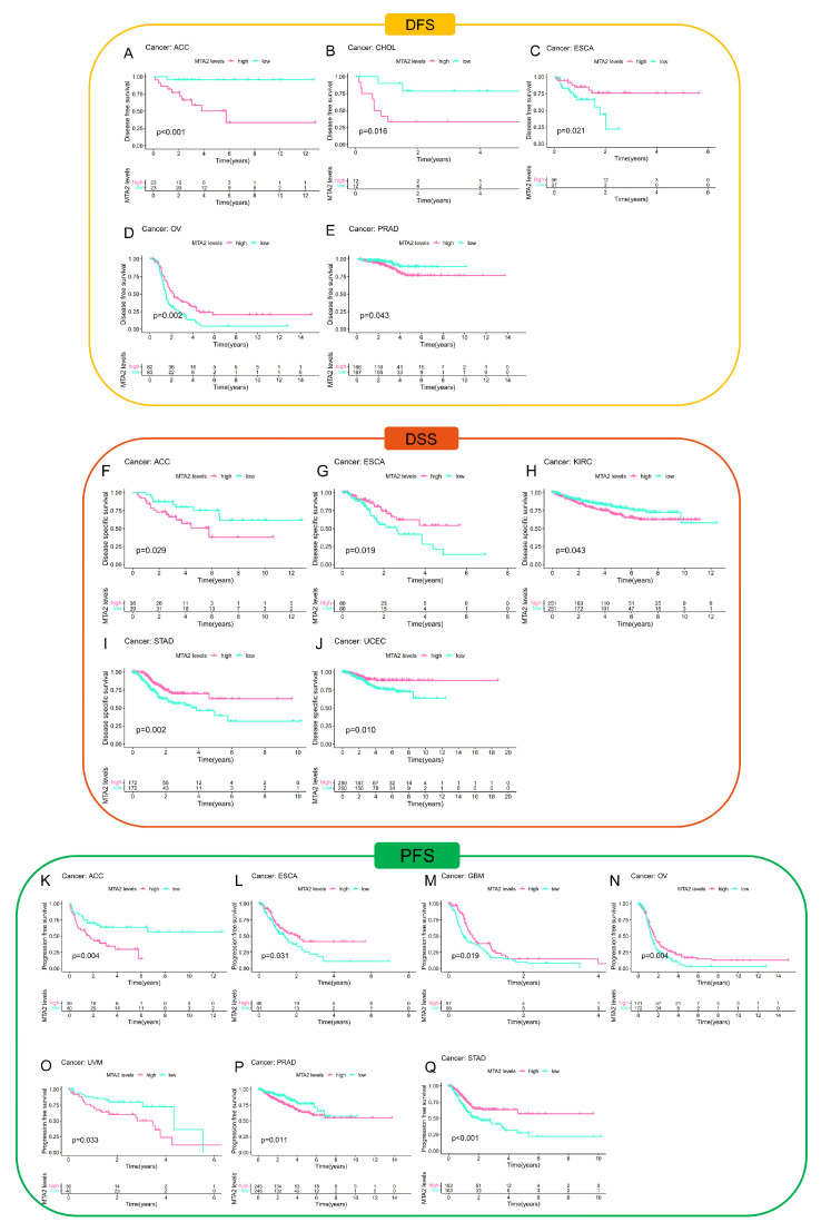 PMC10296612 – biomolecules-13-00883-f005
