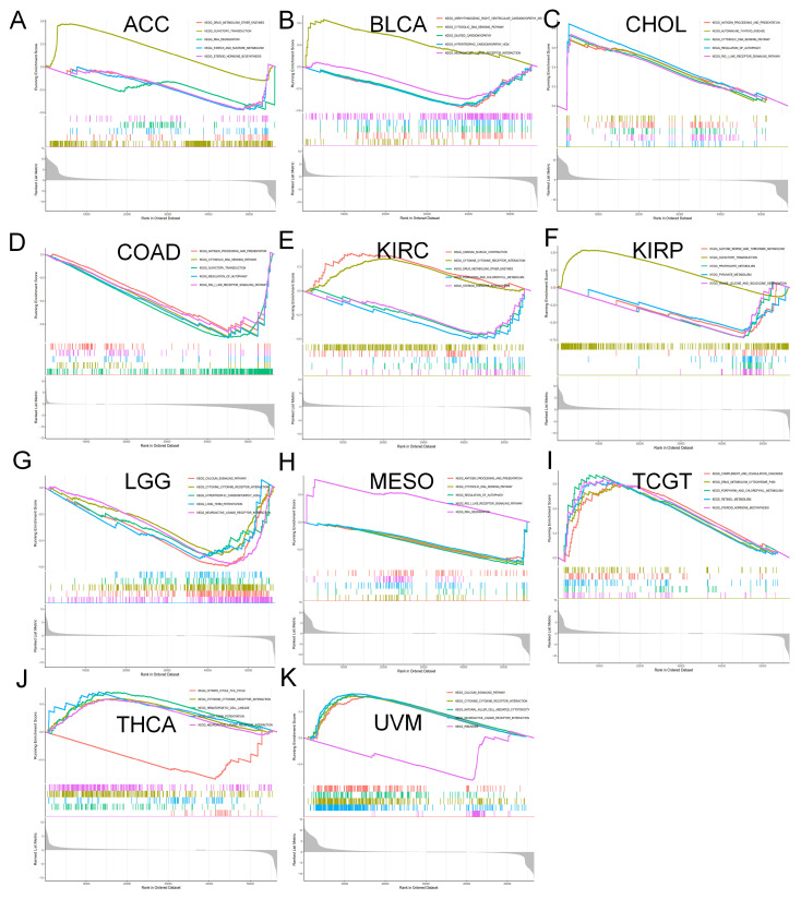 PMC10296612 – biomolecules-13-00883-f012