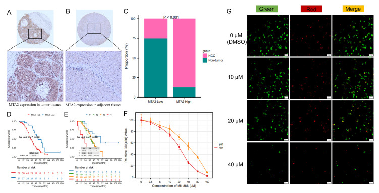 PMC10296612 – biomolecules-13-00883-f018