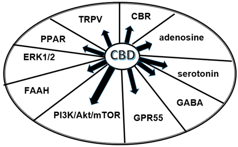 PMC10604144 – biomolecules-13-01446-f001