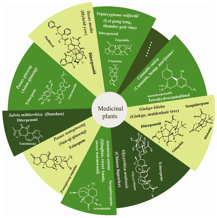 PMC10741589 – biomolecules-13-01725-f001