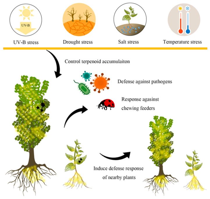 PMC10741589 – biomolecules-13-01725-f002