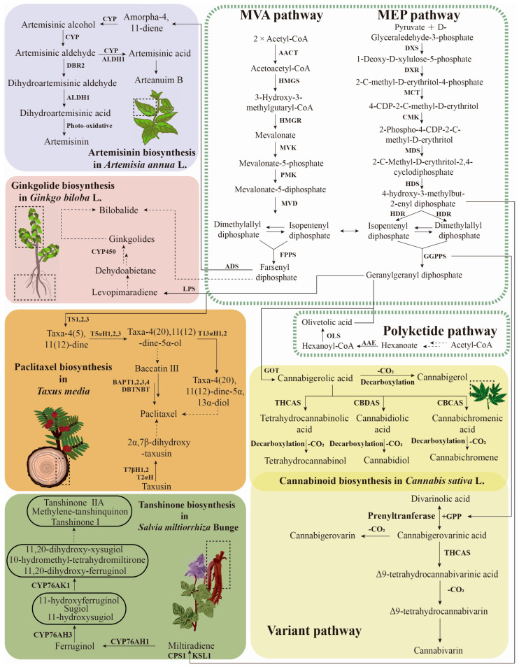 PMC10741589 – biomolecules-13-01725-f003