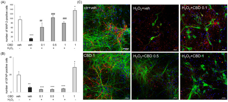 PMC11117811 – biomolecules-14-00564-f006