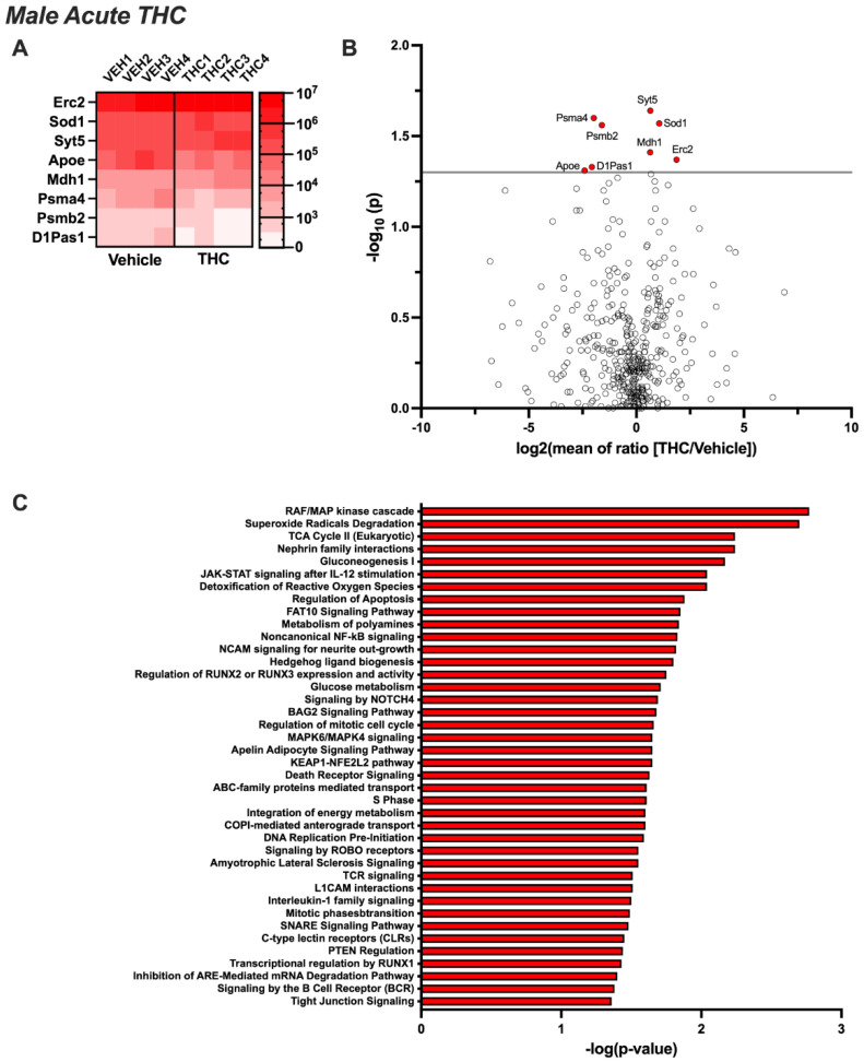 PMC11430348 – biomolecules-14-01143-f002
