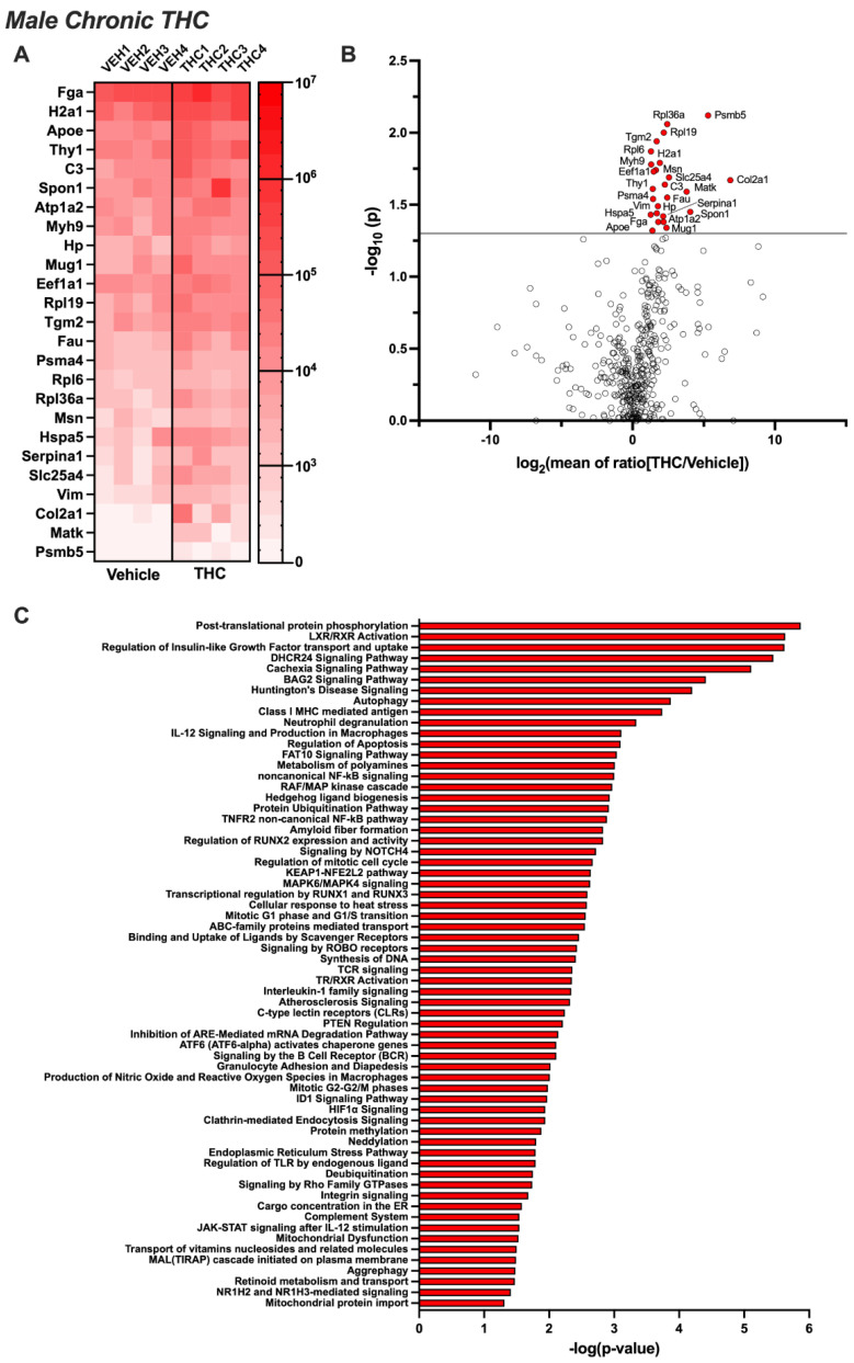 PMC11430348 – biomolecules-14-01143-f003