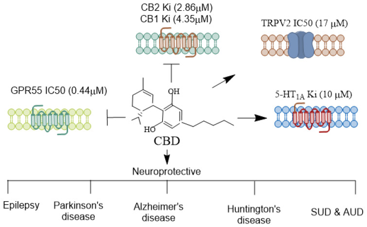 PMC11506053 – biomolecules-14-01296-f001