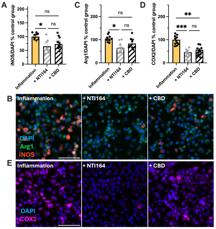 PMC11592195 – biomolecules-14-01434-f003