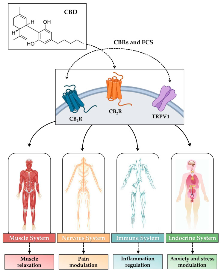 PMC11727302 – biomolecules-14-01627-f001