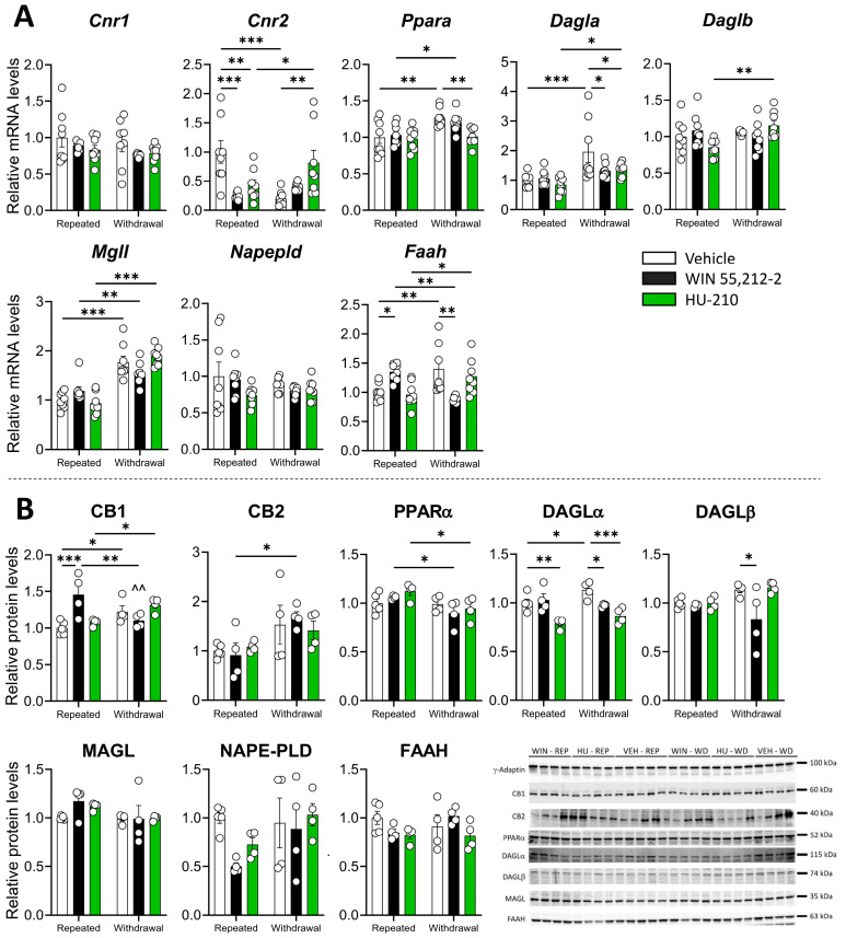 PMC11940679 – biomolecules-15-00417-f004