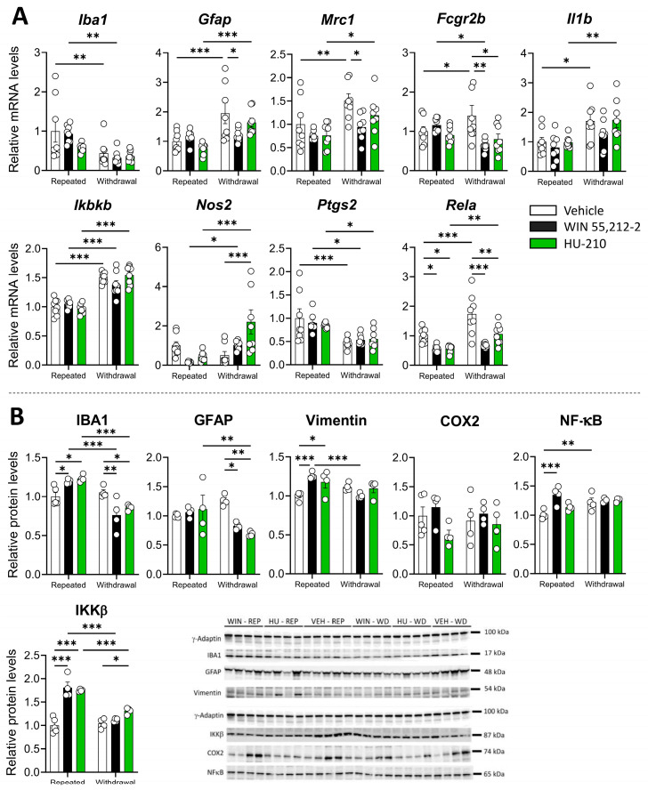 PMC11940679 – biomolecules-15-00417-f005