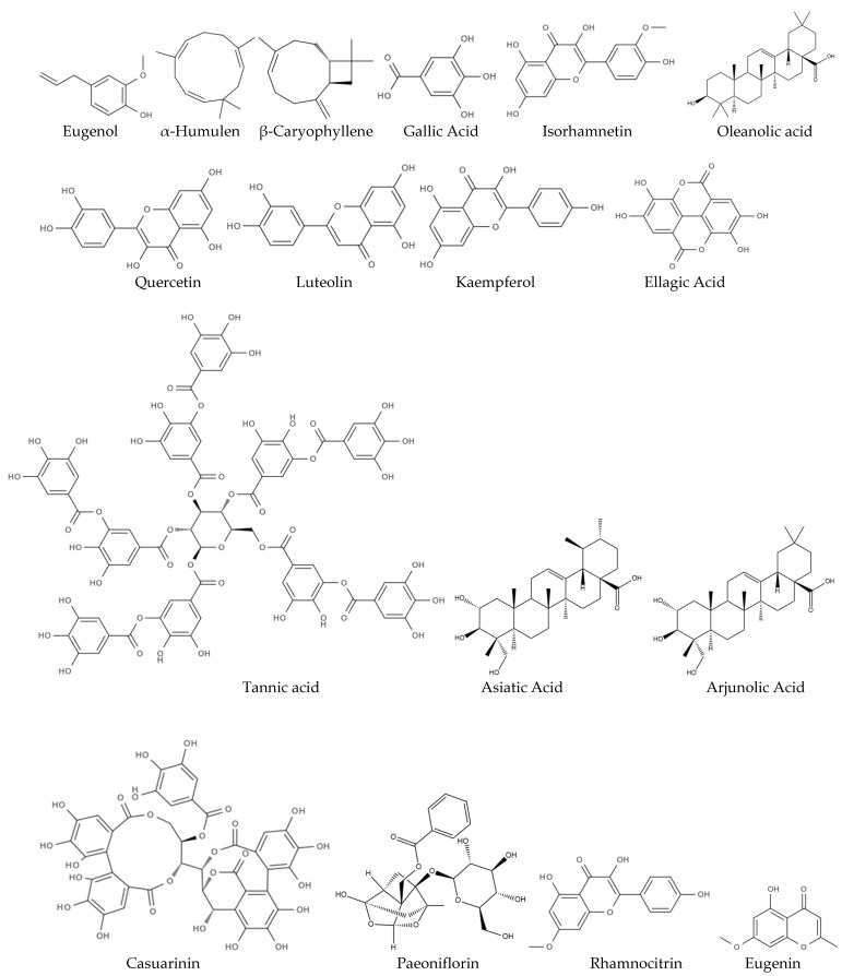 PMC11940766 – biomolecules-15-00452-f001