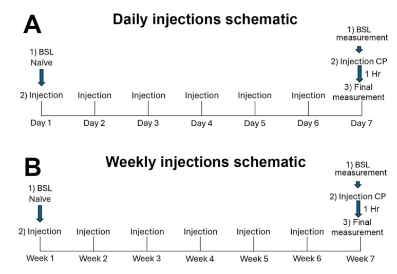 PMC12024554 – biomolecules-15-00472-f001