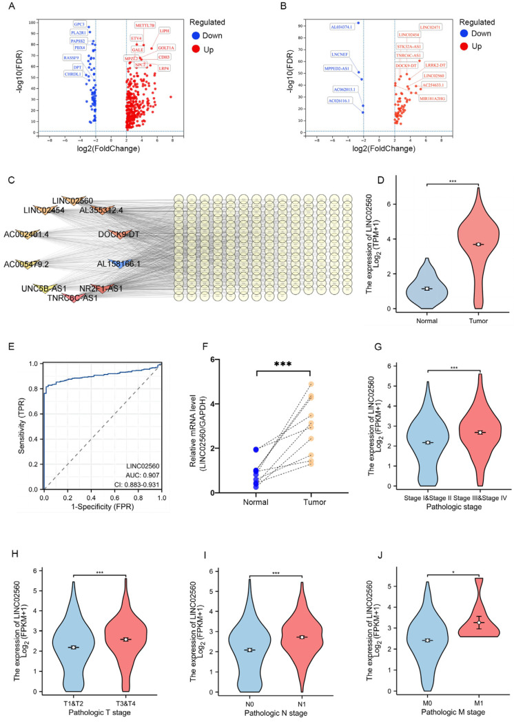 PMC12108885 – biomolecules-15-00630-f001