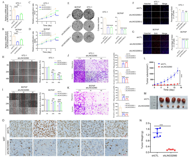 PMC12108885 – biomolecules-15-00630-f002