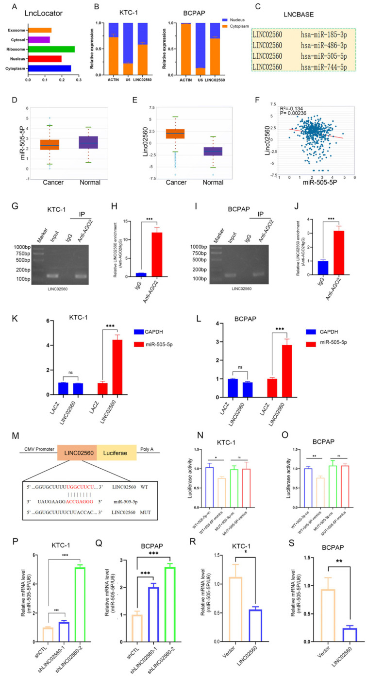 PMC12108885 – biomolecules-15-00630-f004