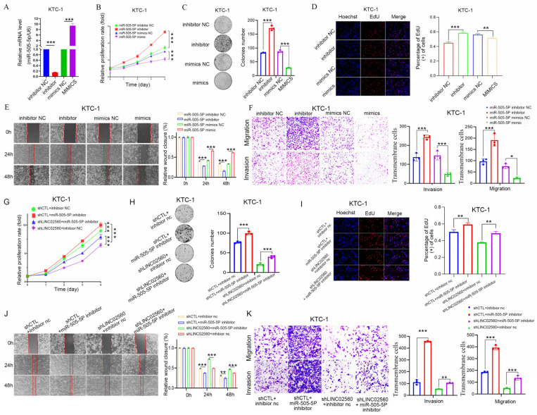 PMC12108885 – biomolecules-15-00630-f005