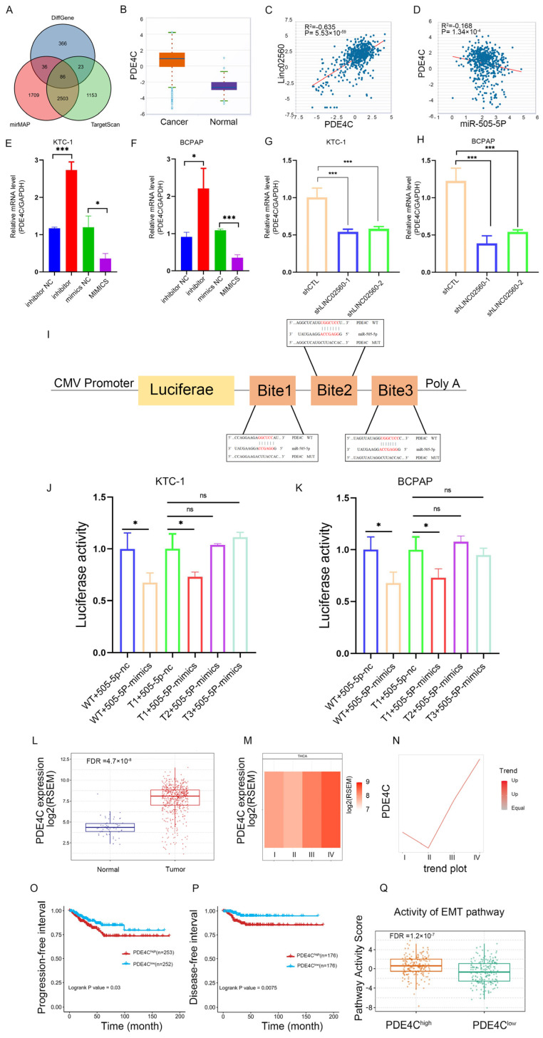 PMC12108885 – biomolecules-15-00630-f006