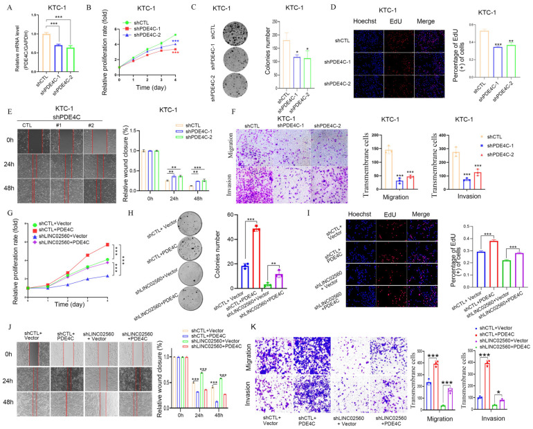 PMC12108885 – biomolecules-15-00630-f007
