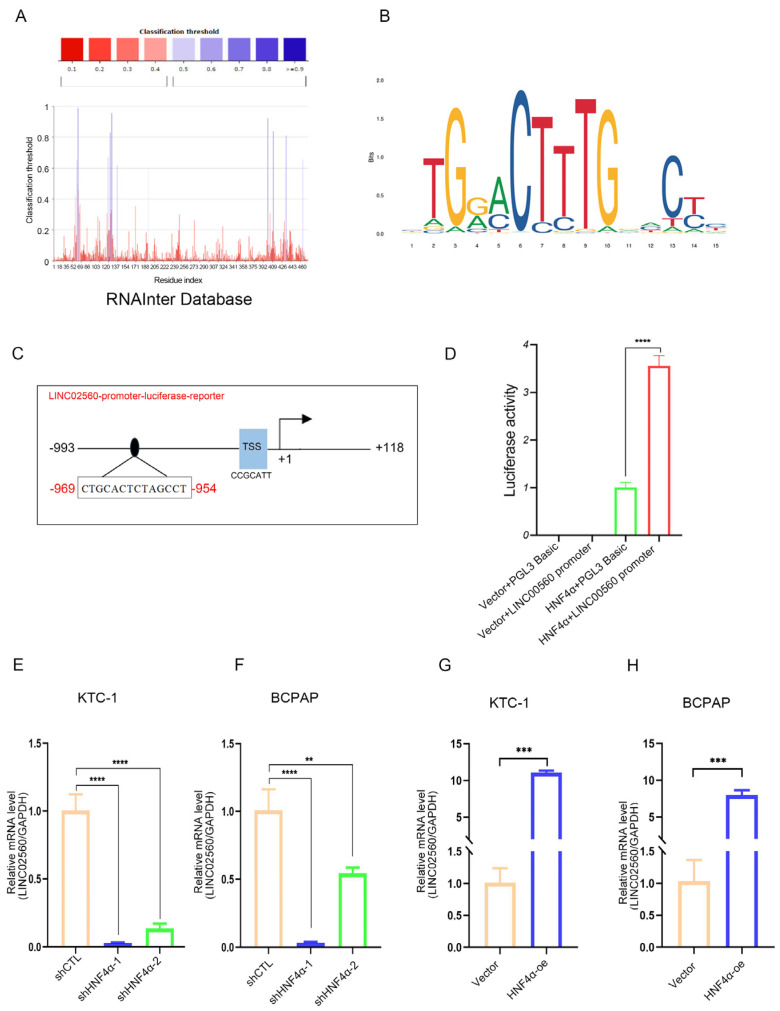 PMC12108885 – biomolecules-15-00630-f008