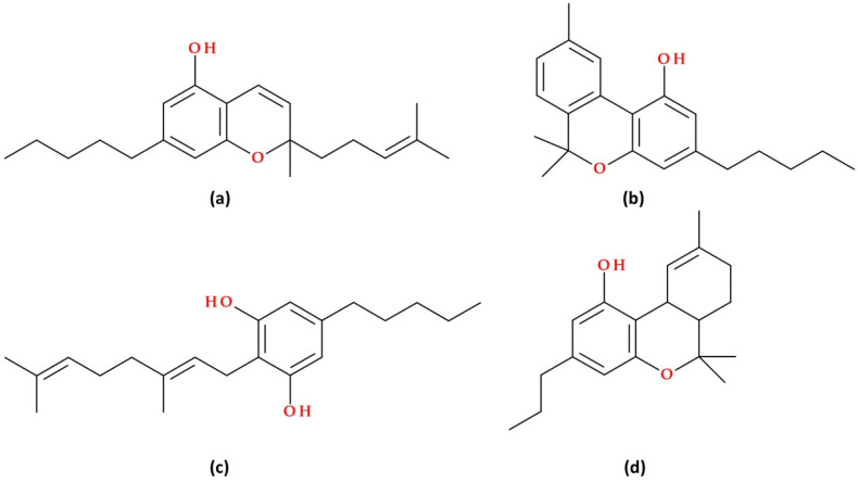 PMC12467061 – biomolecules-15-01219-f002