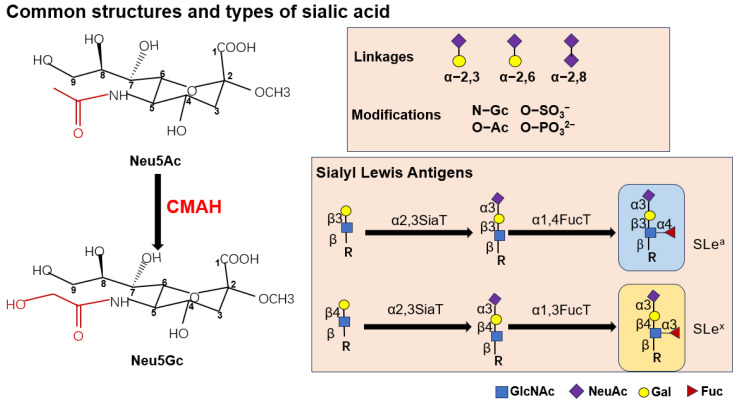PMC12564715 – biomolecules-15-01375-f001