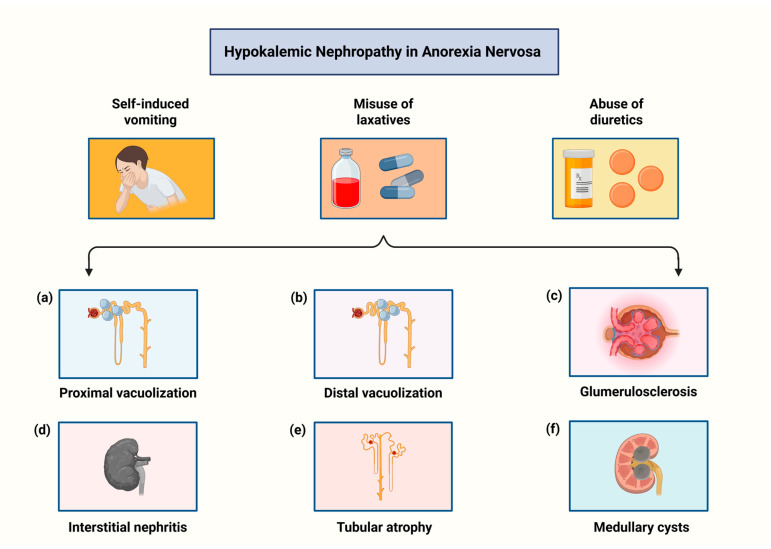 PMC12650057 – biomolecules-15-01559-f002