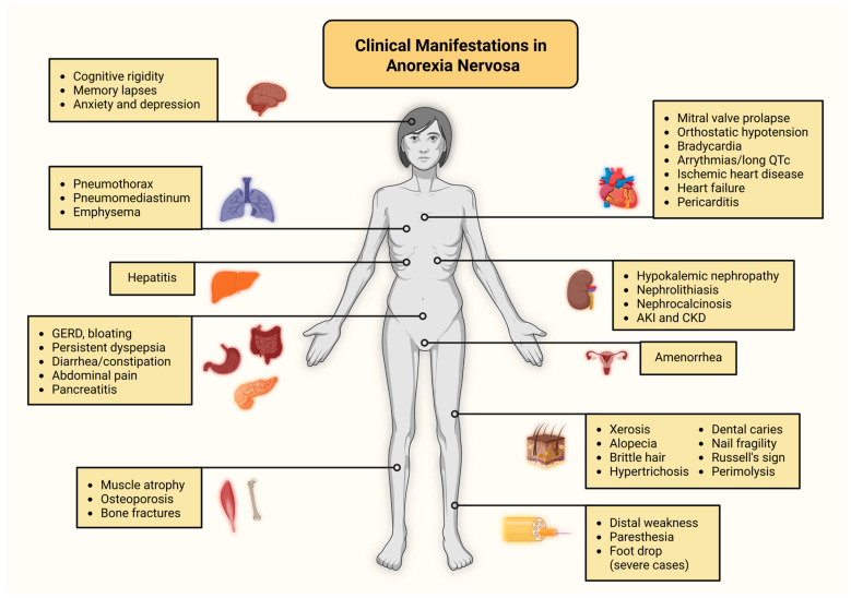 PMC12650057 – biomolecules-15-01559-f003