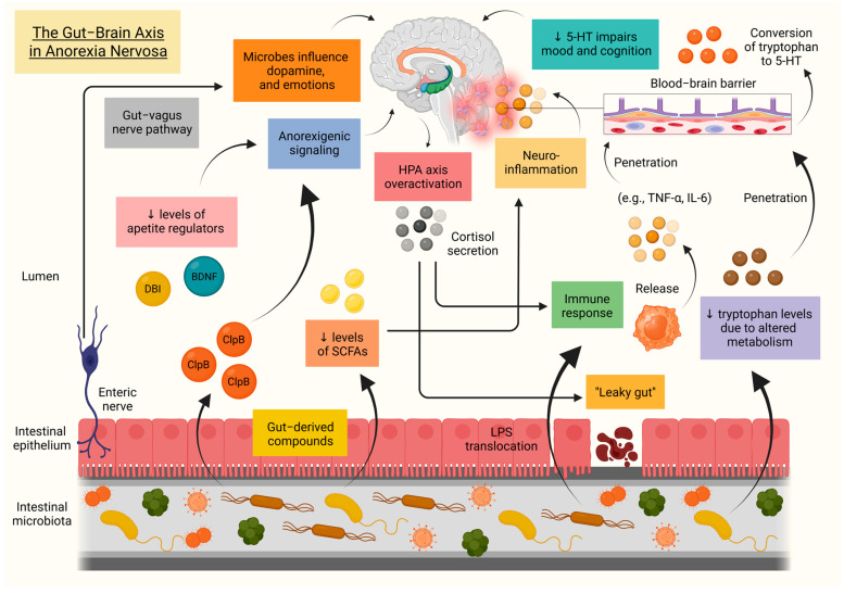 PMC12650057 – biomolecules-15-01559-f005