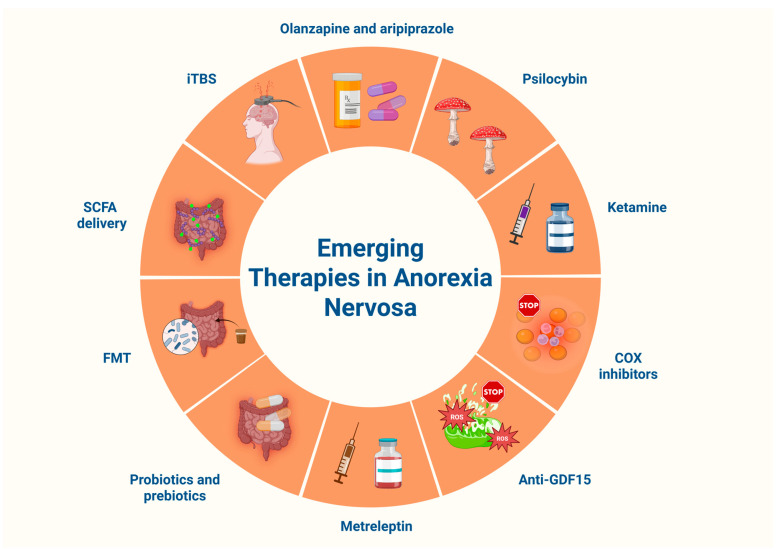 PMC12650057 – biomolecules-15-01559-f006