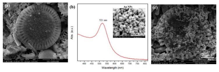 PMC6955980 – biosensors-09-00125-f002
