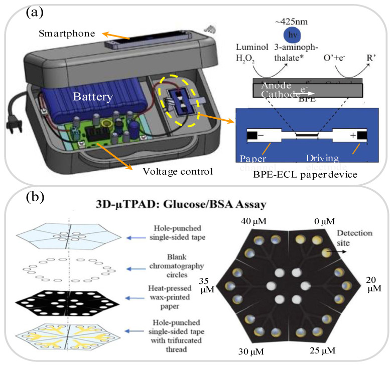 PMC8393526 – biosensors-11-00260-f002