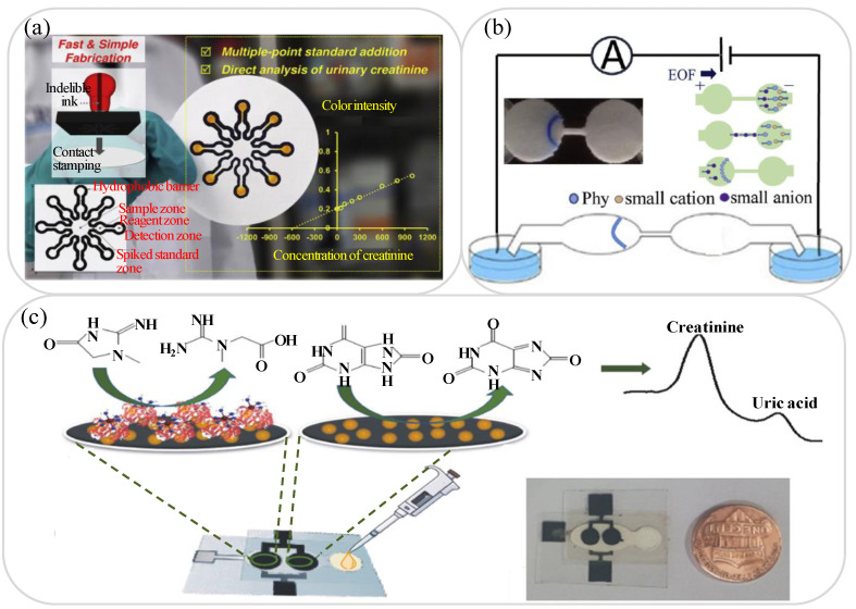 PMC8393526 – biosensors-11-00260-f003