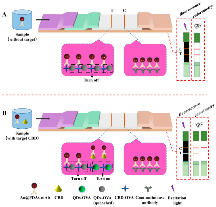 PMC8869244 – biosensors-12-00083-f002