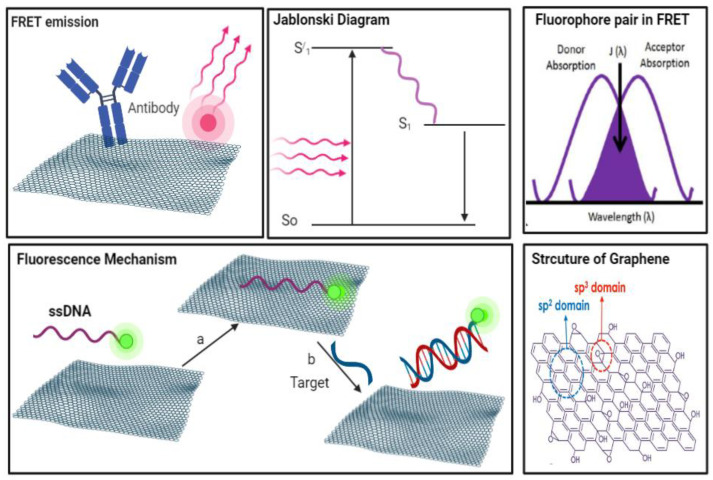 PMC9312944 – biosensors-12-00460-f001