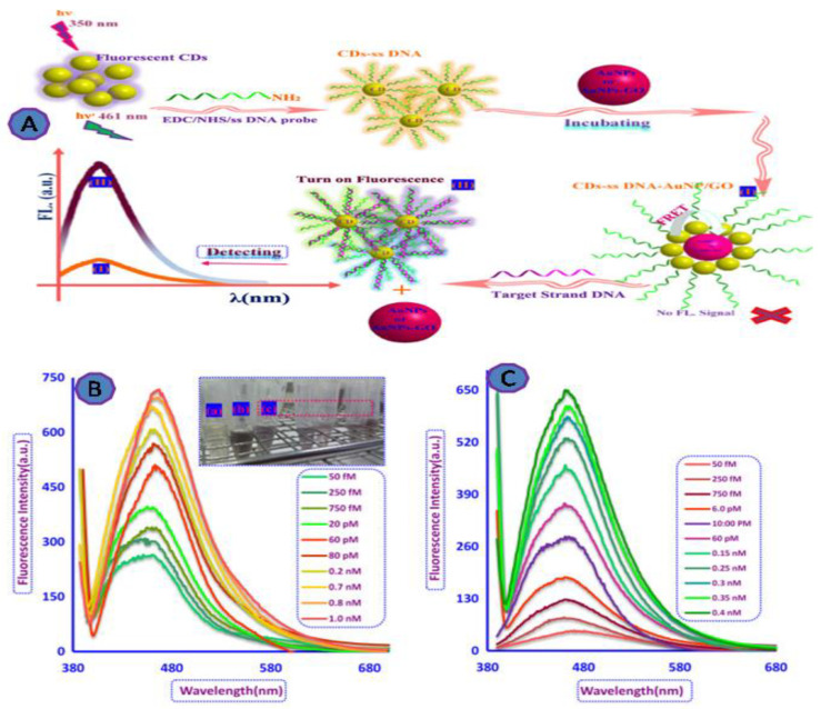 PMC9312944 – biosensors-12-00460-f006