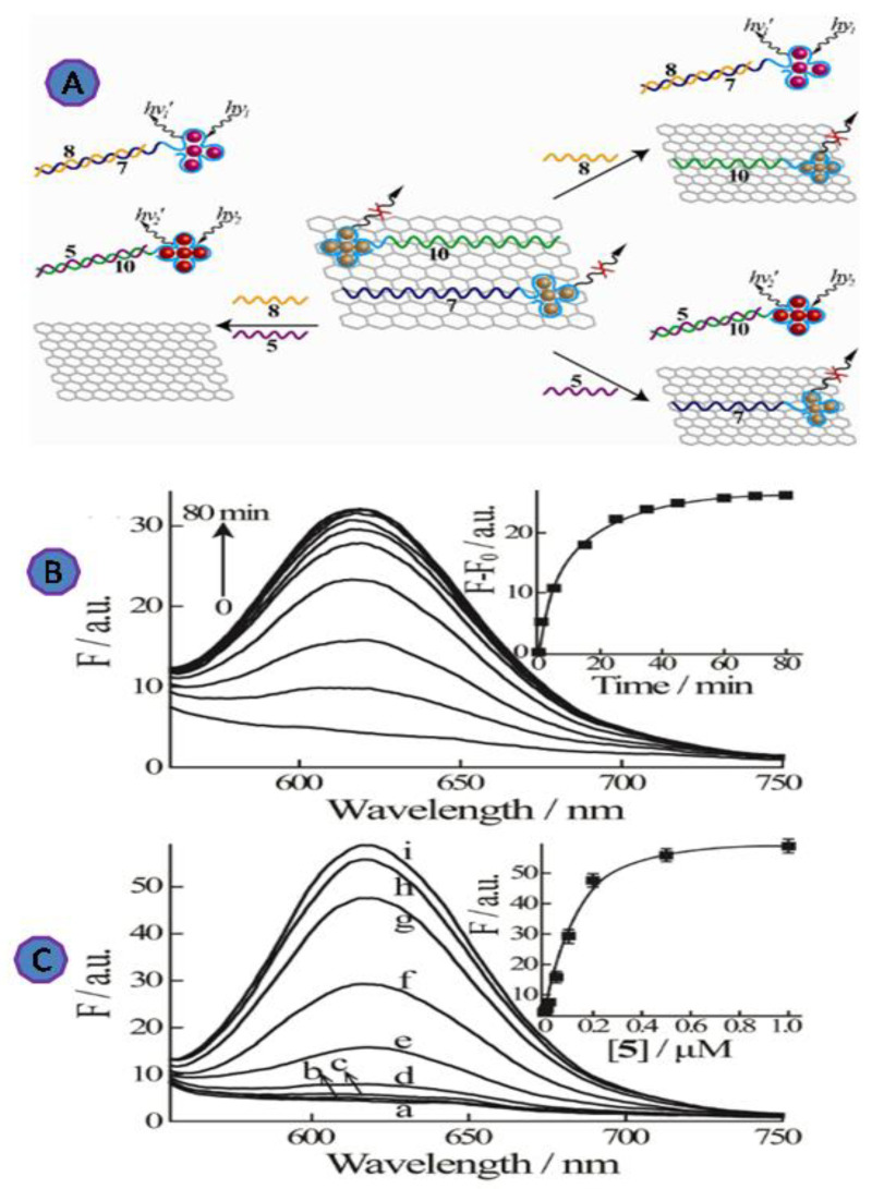 PMC9312944 – biosensors-12-00460-f013