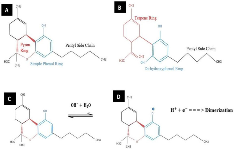 PMC10046734 – biosensors-13-00384-f001