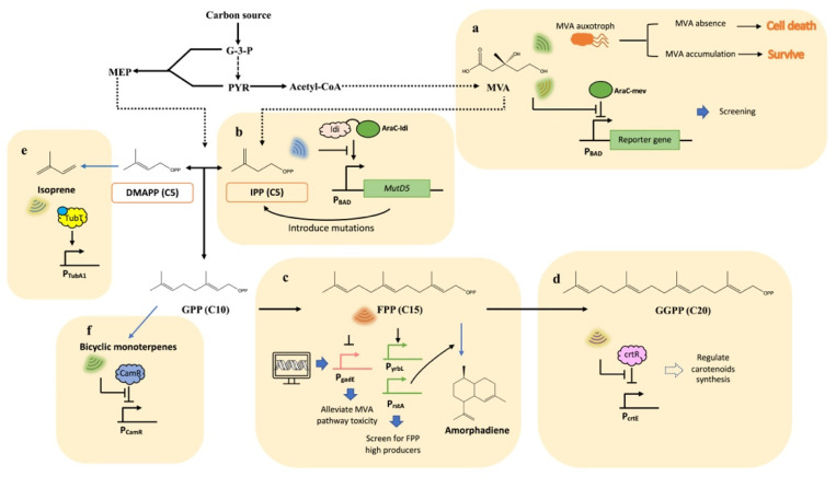 PMC10296705 – biosensors-13-00633-f002