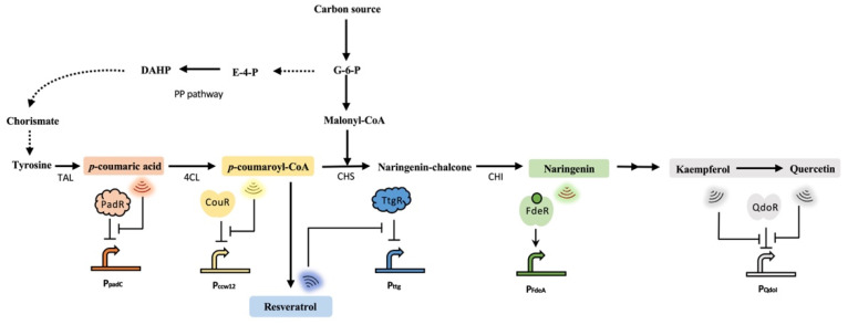 PMC10296705 – biosensors-13-00633-f003