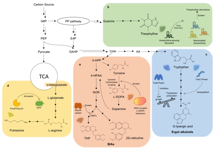 PMC10296705 – biosensors-13-00633-f004